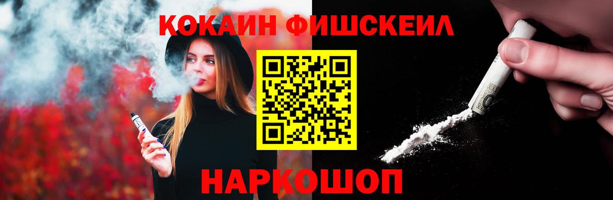 закладка  Чайковский  COCAIN Fish Scale 