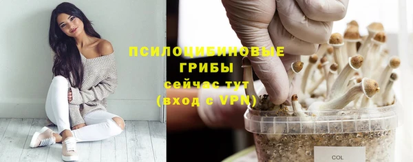 ECSTASY Слюдянка