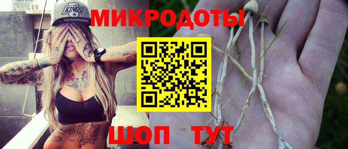 Псилоцибиновые грибы Psilocybine cubensis  Псилоцибиновые грибы Magic Shrooms  Чайковский 