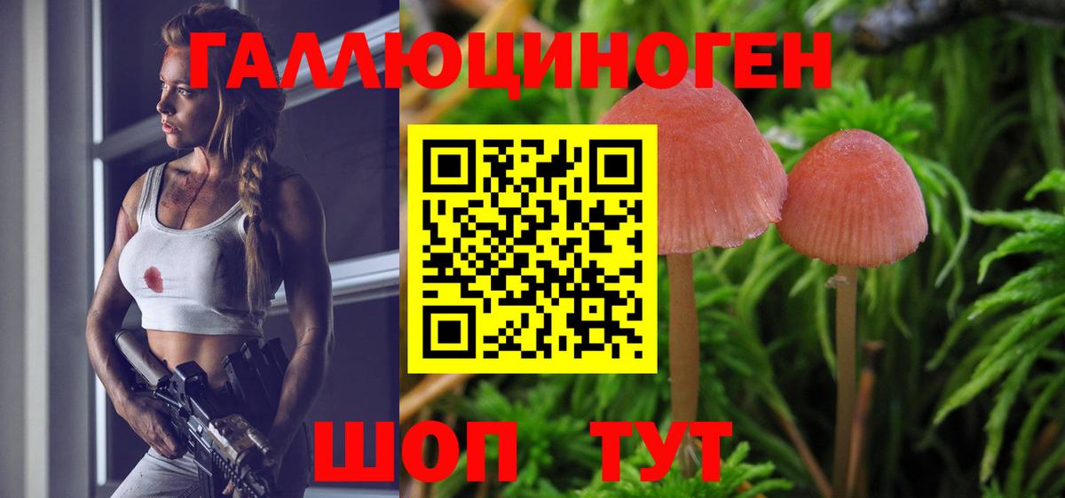 Псилоцибиновые грибы Cubensis  Галлюциногенные грибы прущие грибы  Вход с VPN  Чайковский 