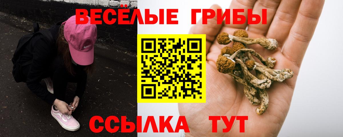 Галлюциногенные грибы GOLDEN TEACHER Чайковский
